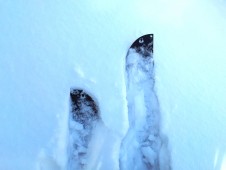 k2 panoramic splitboard in snow hiking
