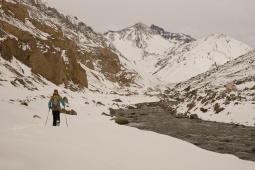 Trew Ian Wood Article